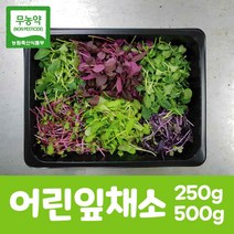 친환경 어린잎&쌈채소 새싹 베이비 샐러드 모듬쌈채, 모듬쌈채소600g