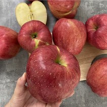 햇 홍로 사과 경북 안동 사과 빨간 사과 홍로 가정용 햇 홍로, [가정용]홍로 중소과(39~43과)10kg, 1개, [가정용]홍로 중소과(39~43과)10kg