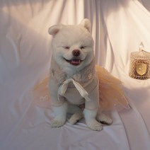 강아지 레이스 튜튜 원피스 웨딩드레스 발레복 공주옷, 베이지