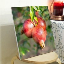 바보사랑 폼아크릴액자38CmX38Cm 풍수복이들어오는석류.꾸밈, 2.복