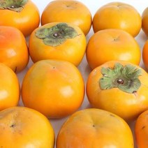 프레시로드 산지직송 창원 북면 단감 10kg6170과