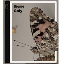 전자책 리더기 EBOOK리더기 스마트 오피스 인치 잉크 전자종이 음성 다국어 번역, 없음, 1.Galy8 300PPI 6 128GB