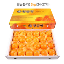 제주 황금향 선물세트 5kg (대과) 24-27과 / 하우스 노지 고당도 귤 감귤 밀감 레드향 천혜향 카라향 청귤 수라향 신비향 가정용 추석 명절 설 감사 은사 선물 조생 타이벡, 5kg (중) 28-30과