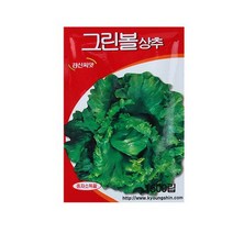바보사랑 미미네가든 그린볼상추 씨앗 (1500립) 쌈채소 키우기 .미미네아쿠아
