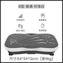 장 운동 기기 진동 자동 운동 기구 서서 앉아서 복근운동 게으른 사람 전신 다이어트, B타입 일반진주백99등급지압