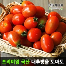 이츠올릿 대추 방울 토마토 1.5kg 못난이 단 찰 토마토, 찰 토마토 10kg (1번)