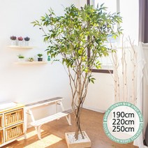 [플라워트리] 라인_올리브나무 190cm FREOFT, 설치방향:사방형