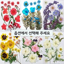 압화 레진 공예 꽃 책갈피 편지 만들기 종합팩 HF-A00 (옵션선택), HF-A03(보라계열)