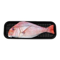 리얼 생선 참돔 펜슬케이스 1p 필기구 필통 파우치, 상세 참조