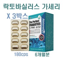 내추럴라이즈 모유 유산균 가루 캡슐 락토바실러스 가세리 17 프롤린 프로 프리 바이오틱스 신 포스트바이오틱스 생유산균 비만세균 뚱보균잡는 장내유익균 유해균, 500mg, 180캡슐