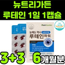 뉴트리가든 루테린 LUTEIN 뉴테인 직장인 청소년 50대 60대 부모님 비타민 A E 베타카로틴 눈 안구 건강 노안 노화 흐림 침침 영양제 추천 아연 마리골드 꽃 추출물 캡슐, 6박스(6개월분)