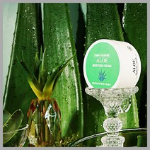 연약한피부 수분충전 알로에베라잎즙 피부진정 영양 탄력 크림 100g_WC07346 suyeoncorp*5417803Tl, 1, 본상품선택