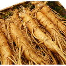 [세척] 전세계인정 국내산 금산인삼 정품 인삼 5년근 6년근 수삼 난발삼 원수삼 가족 보양식 원기회복 부모님 건강 선물 인삼주 삼계탕 인삼꿀절임 담금주, 세척 원수삼왕대 750g (6~7뿌리), 1개