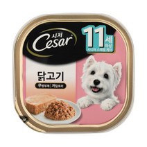 시니어견 닭고기 시저 캔 특별식 습식 3개 시저사료