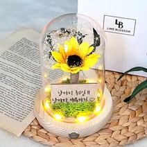 메세지 각인 해바라기 유리돔 무드등 개업 생일 선물, 폰트2