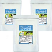 대용량 유청단백질 프로틴 파우더 보충제, 3팩