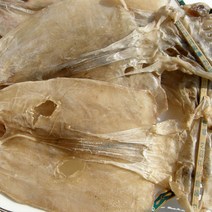 건어물천국 마른오징어 파품 500g 동해안 건오징어, 1kg