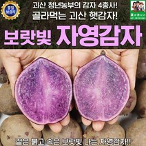 괴산 자영감자 5kg 사이즈랜덤 90g 이상