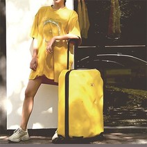 명품 연예인 특이한 캐리어 인스타