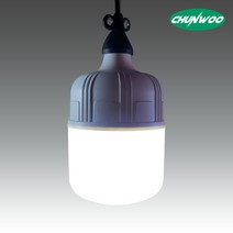 천우티이엠 LED 가설등 작업등 현장조명 유볼 일체형 30W, 1개
