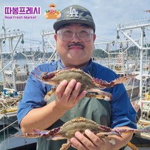 따봉프레시 살이꽉찬 황제 활 숯꽃게 태안 당일조업 빙장, 1개, 5kg