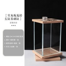 네온테트라 희귀열대어 새우키우기 어항꾸미기 루돌프구피 하프문베타 엔젤피쉬A09, 옵션10