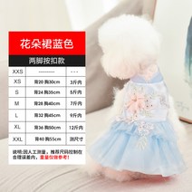 저고리 선비 귀도리 노리개 개량 세트 강아지한복 조끼 포근 애견 드레스 퓨전