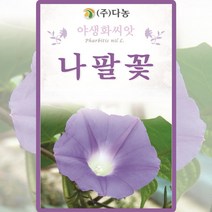 나팔꽃 씨앗 나팔꽃 씨 야생화 종자 6g, 단품