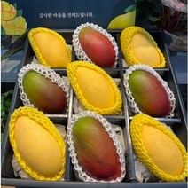 따봉프레시 3차선별 항공 망고 VIP선물세트 6종, 5호