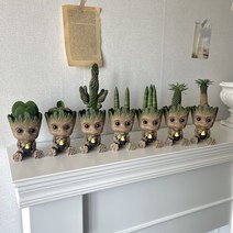 키우기쉬운 실내공기정화식물 집들이 개업 식물 화분, 괴마옥1