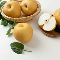 [달찐과일] 나주배 가정용 5kg (6-7과), 단품