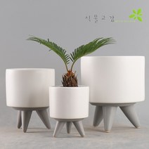 식물교감 세라믹 원형 사각 도자기 인테리어 대형화분