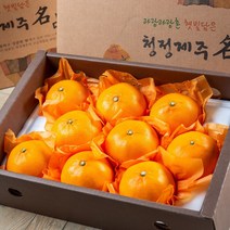 고당도 최상급 천혜향 3kg 특품 당도보장, 선물용 천혜향 3kg(대과)