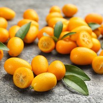 제주 금귤 낑깡 1kg~9kg, 5kg (정과용 왕특~왕왕)