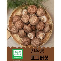 표고버섯 화고특가 생 표고 버섯 산지직송 선물추천 끝내주는 화고 특품1kg 명절선물 농장직송 이육식, 화고-4kg