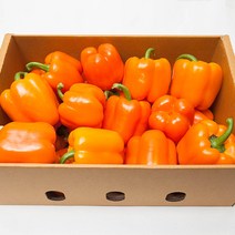 [프레시팜] 노란 빨간 주황 특품/못난이 파프리카 3kg, 못난이