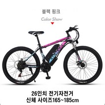 26인치 전기자전거 리튬배터리 보조 동력 산악 MTB 자전거 성인용 출퇴근 전기자전거, 01. 36V8AH, 01. 블랙 핑크