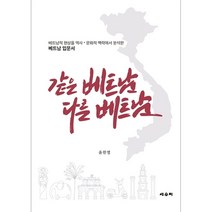 같은 베트남 다른 베트남 - 베트남적 현상의 근원