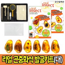 화석발굴키트 모음 잼스톤 공룡 곤충 해양화석 자연관찰 체험 DIY 과학 학습 교육완구, 리얼 곤충화석 발굴키트(대)