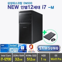 삼성 데스크탑 DM500 인텔 12세대 i7 + Win 10 / Win11 포함, 램32GB + SSD 512GB + HDD 1TB, Windows10 Pro, DM500TEZ i7 -M