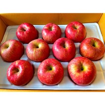 고당도 꿀사과 4.5kg 경북영천 사과 산지직송 과일 제철과일 과일선물 영천사과 저렴한과일, 중과 4.5kg