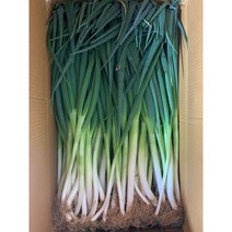 국내산 깐대파 손질 대파 진도, 3kg(손질대파), 1박스