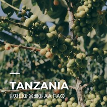 [생두] 탄자니아 음베야 AA FAQ 5kg