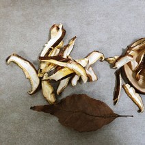 국내산 참나무 원목 건표고절편(파절)200g 2팩, 단품