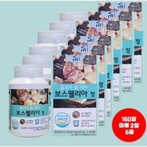 사과초모식초 보스웰릭산 보스웰리아 분말 6통 페놀 테르펜유향나무 관절 연골 손목 발목 중년층 부모님 40대 50대 아미노산 다당류 어버이 선물