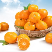 저농약 제주감귤 10kg-15kg 소과/중과/로얄과 귤, 제주 감귤 5KG (S)3번과 프리미엄 로얄과