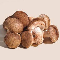 [엄지척농산물] 국내산 산지직송 무농약 생 표고버섯 1kg, 생표고버섯 1kg(상), 1개