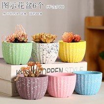 다육화분 다육이 심폴 화분 식물 미니 화분세트, 도자기, 옵션34