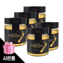 하이웰 마누카꿀 뉴질랜드마누카꿀 UMF25 250g 5개