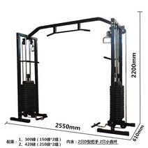 운동기구 파워렉 풀업바 가정용 스미스머신 코어 다용도 홈트레이닝 헬스장 스미스랙 헬스머신 헬스렉, 300파운드 엔트리 모델(150파운드x2세트)